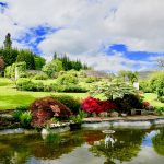 penmyarth ponds with view of pool and potting shed